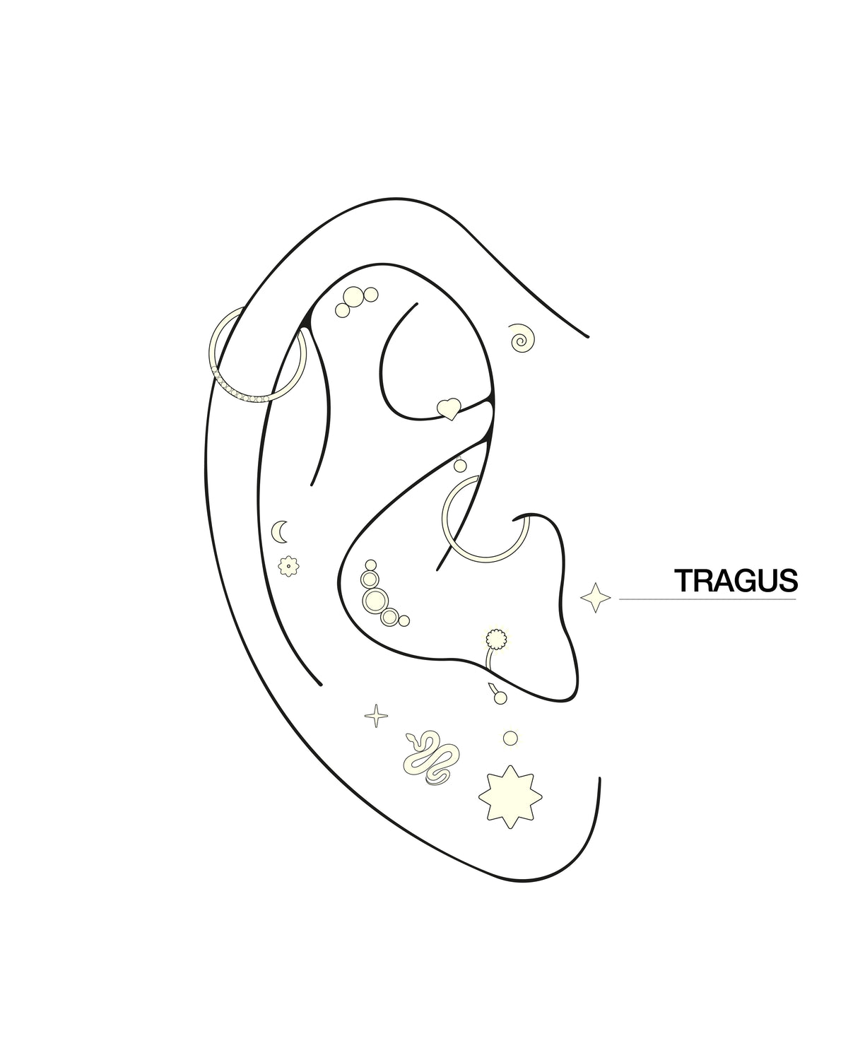 Dibujo minimalista a trazo seco de una oreja con varios piercings. La palabra «HELIX», junto con una línea, señala el borde superior externo de la oreja, indicando la ubicación del piercing en el hélix.