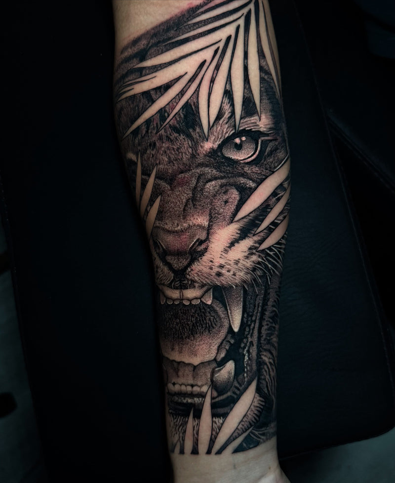 Trabajo de JOAN CORTE
