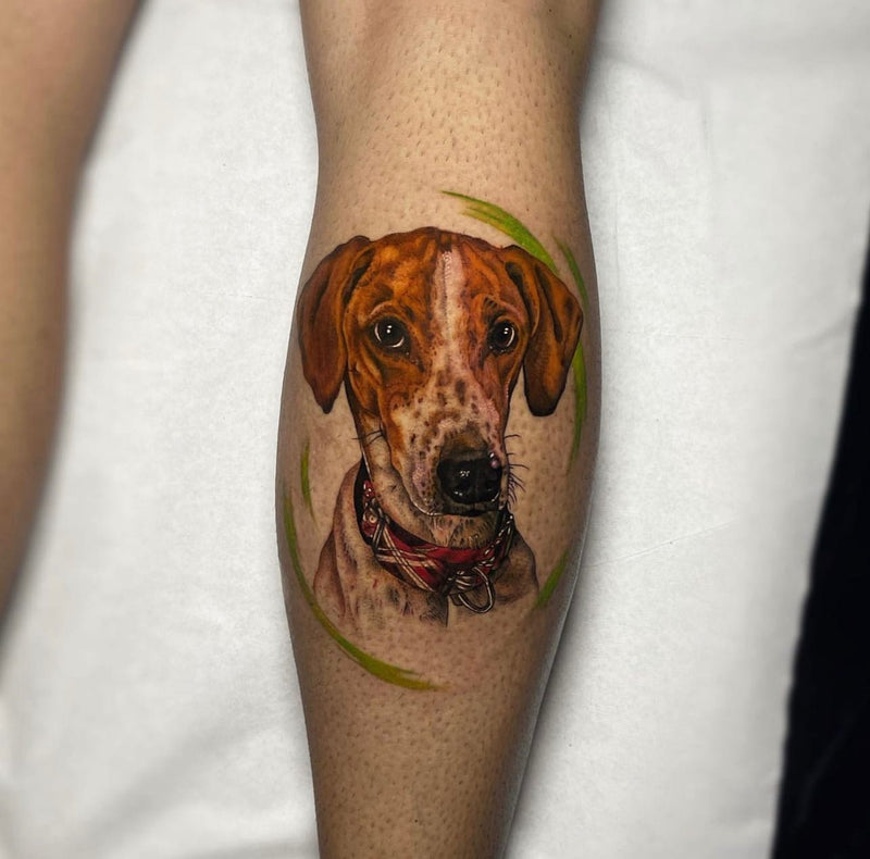 Trabajo de PATRY DMB