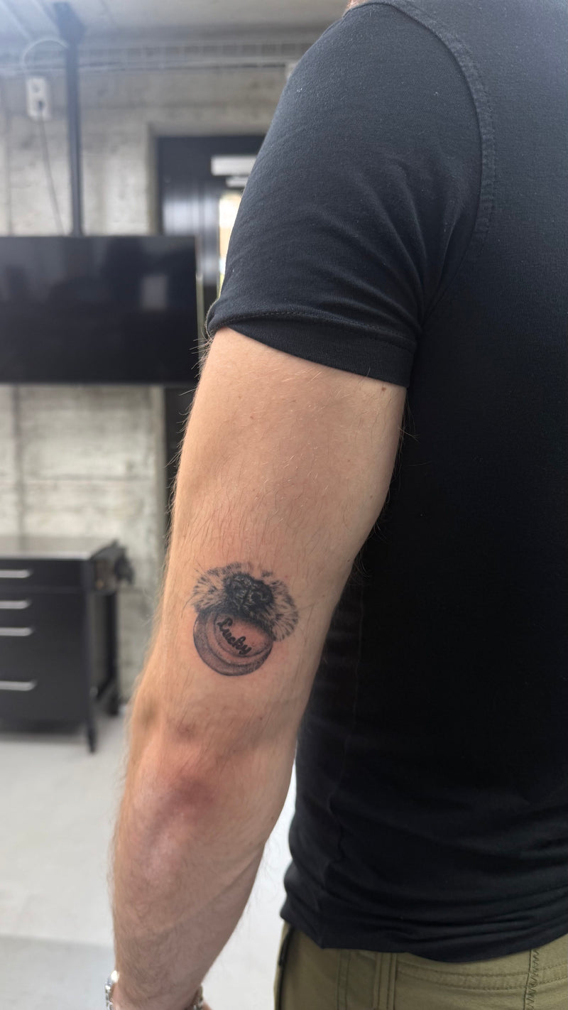 Trabajo de JESSICA