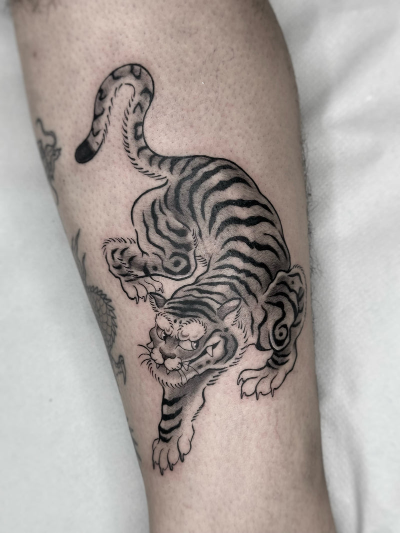 Trabajo de ALEX FERREIRA