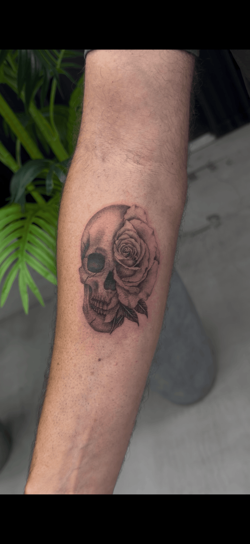 Trabajo de LINA VALENTINA
