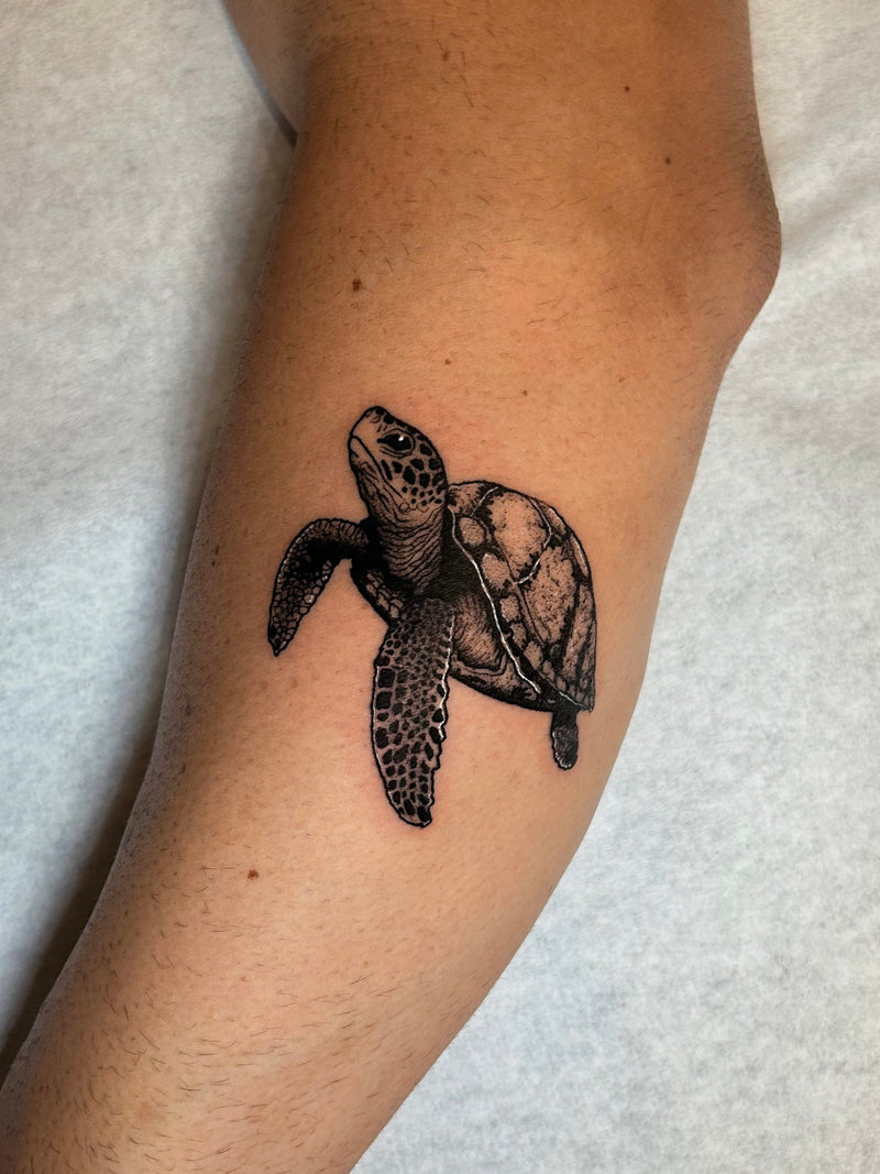 Trabajo de MARCPORSIATATTOO