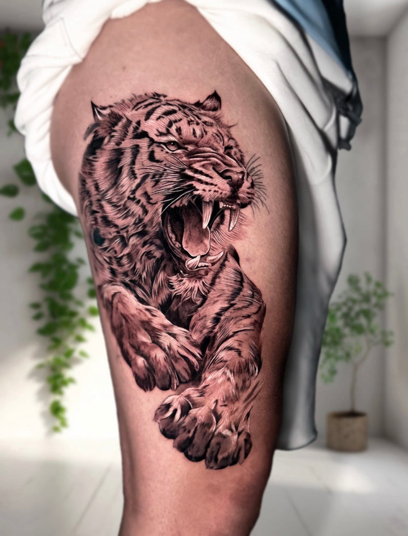 Trabajo de ALEX ERREBE