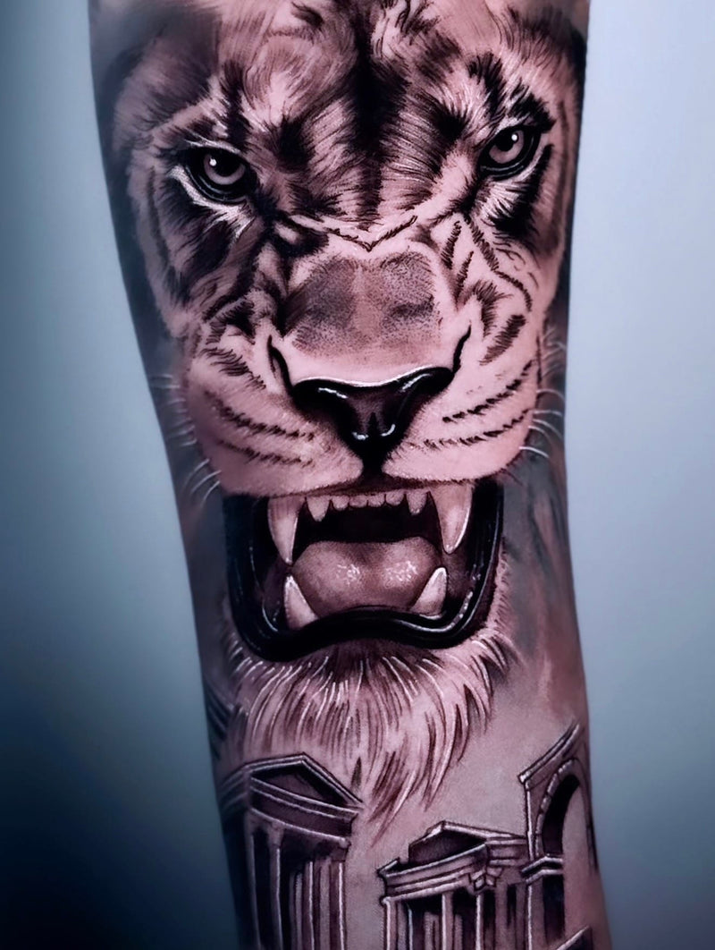 Trabajo de ALEX ERREBE