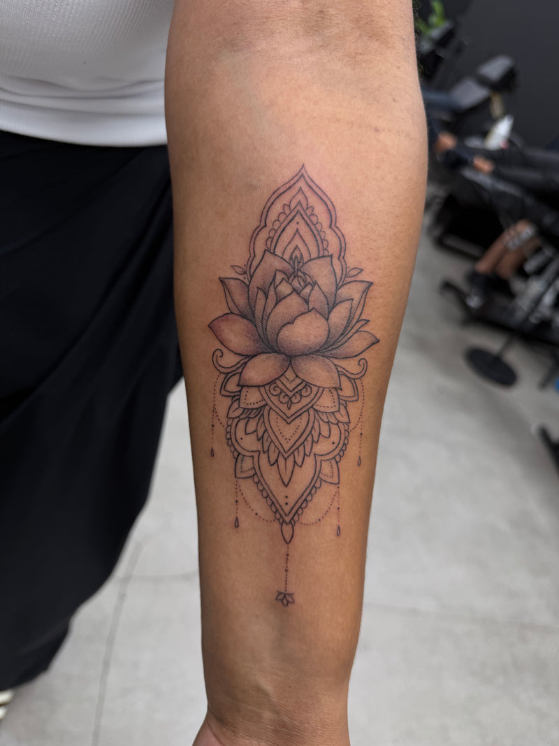 Trabajo de LINA VALENTINA