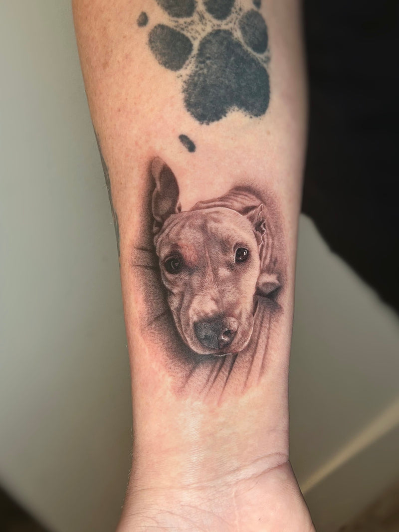 Trabajo de MARCPORSIATATTOO