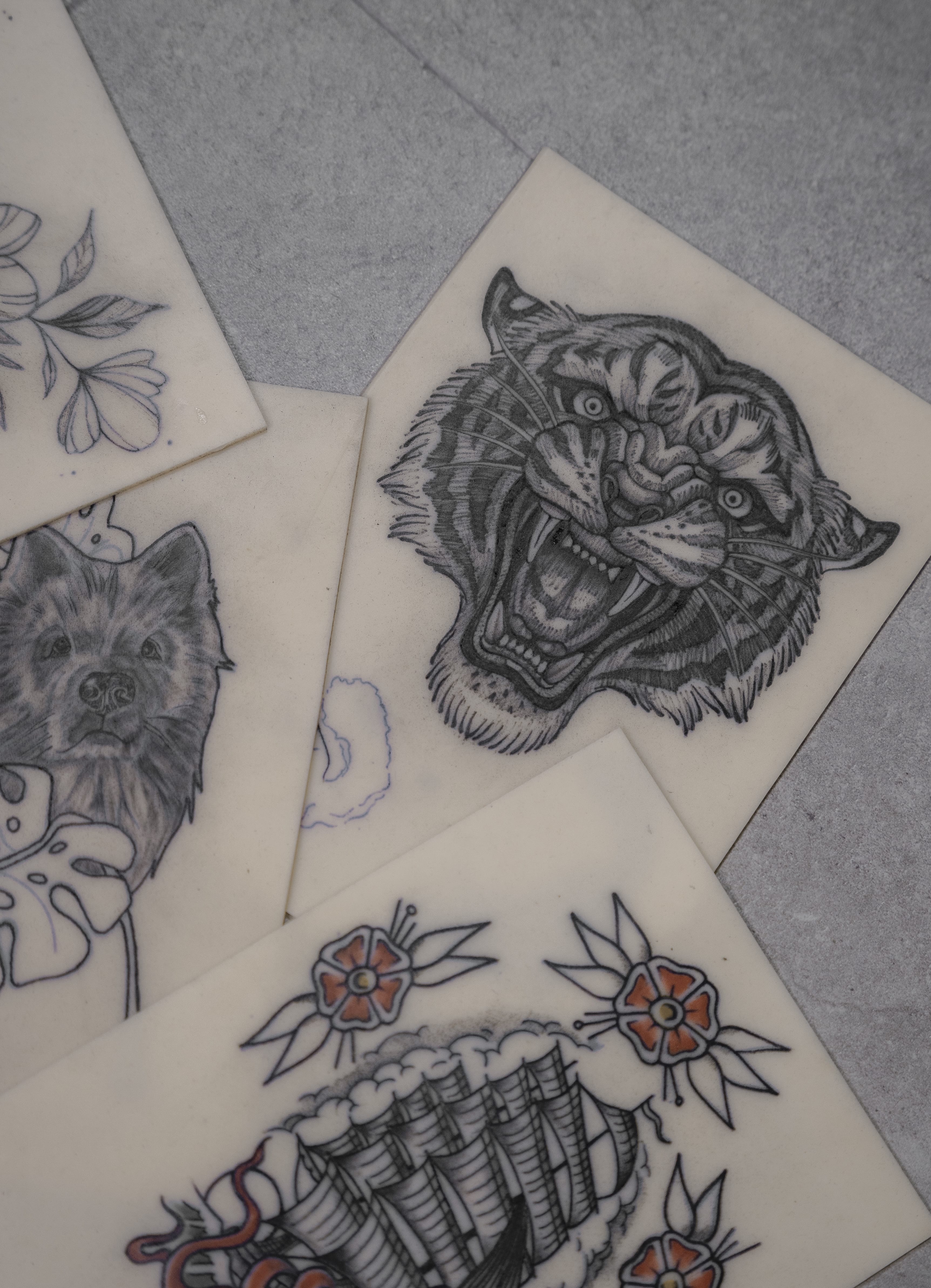 Las hojas de diseños de tatuaje «flash» de Matías Noble, de NOBLE ART OFFICIAL COORP —1 mes—, expuestas sobre una superficie gris con motivos como un tigre rugiente, un perro realista, un barco clásico con flores y motivos florales, rinden homenaje al arte antes de su eliminación con láser.