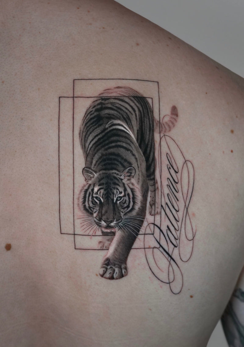 Trabajo de HANDREW