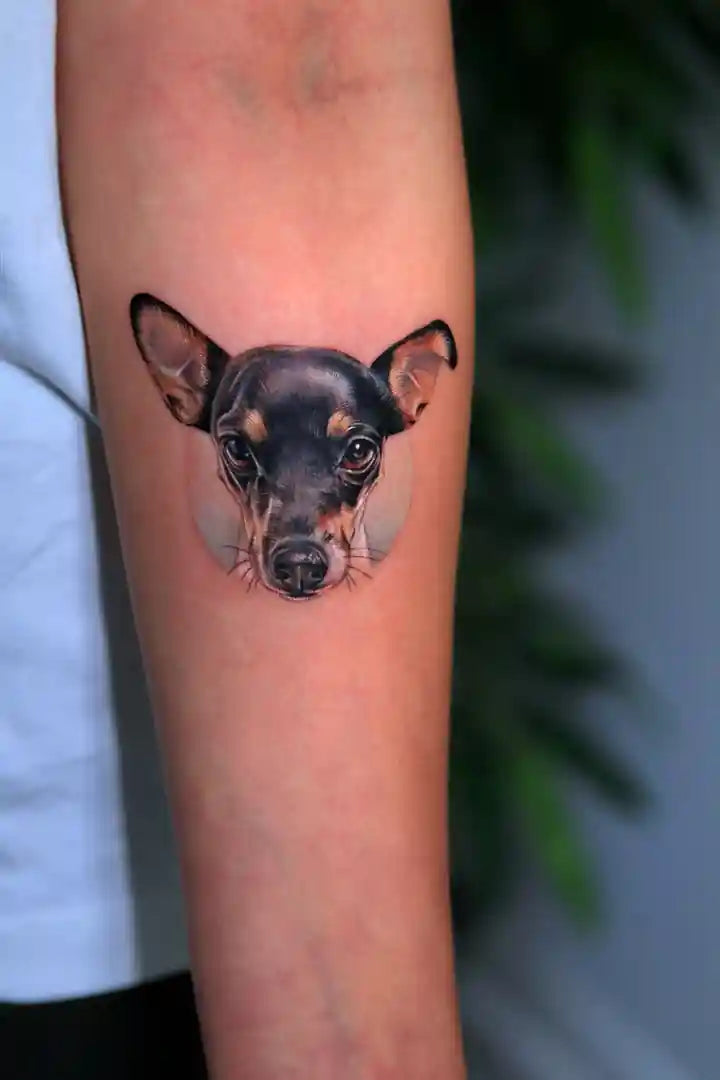 MASCOTAS