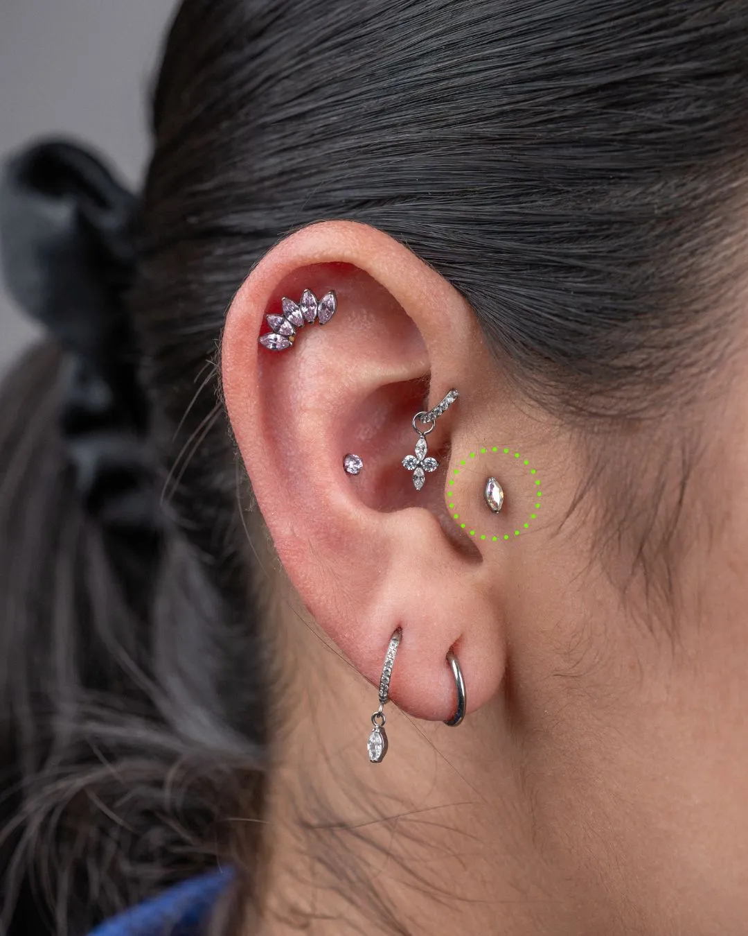 Tragus